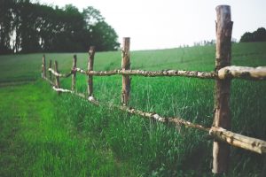 field, fence, farm